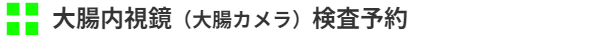 大腸内視鏡(大腸カメラ)検査