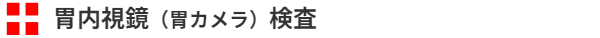 胃内視鏡（胃カメラ）検査
